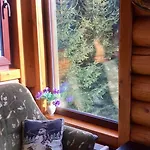 Polyanitsa окремий з каміном