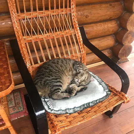 Polyanitsa окремий з каміном Lodge Bukovel
