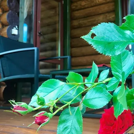 Lodge Polyanitsa окремий з каміном Bukovel