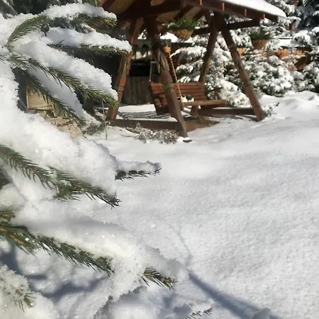 Polyanitsa окремий з каміном Lodge Bukovel