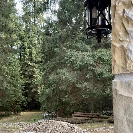 ロッジ Polyanitsa окремий з каміном バコヴェル