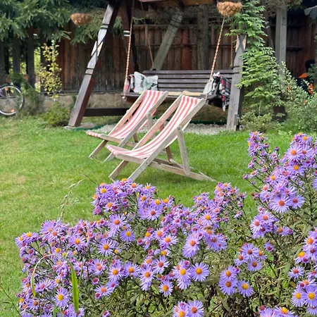 Lodge Polyanitsa окремий з каміном
