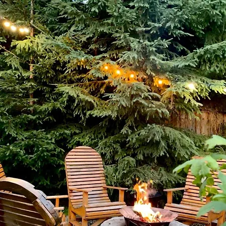 Lodge Polyanitsa окремий з каміном