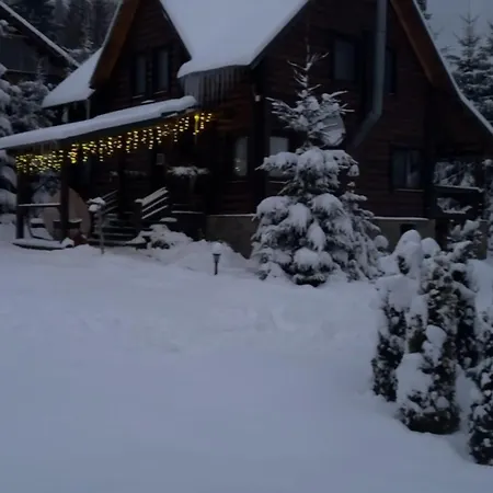 Lodge Polyanitsa окремий з каміном *