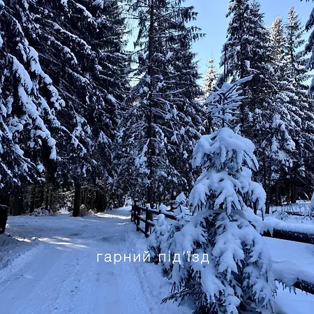 Polyanitsa окремий з каміном バコヴェル