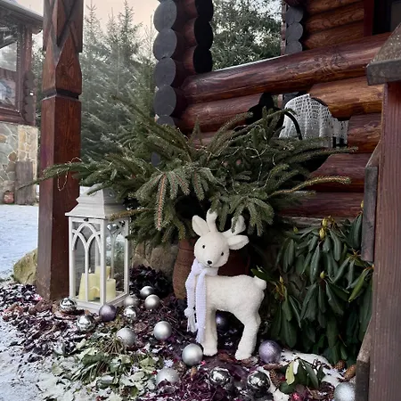 Polyanitsa окремий з каміном * Bukovel