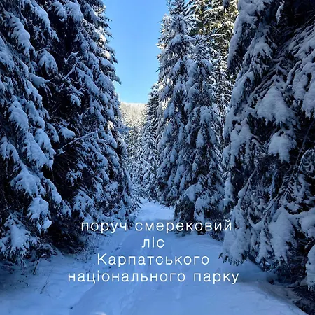 Polyanitsa окремий з каміном