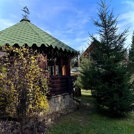 Polyanitsa окремий з каміном ロッジ
