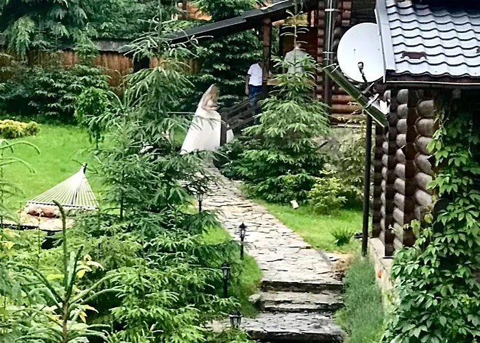 Orman Evi Polyanitsa окремий з каміном