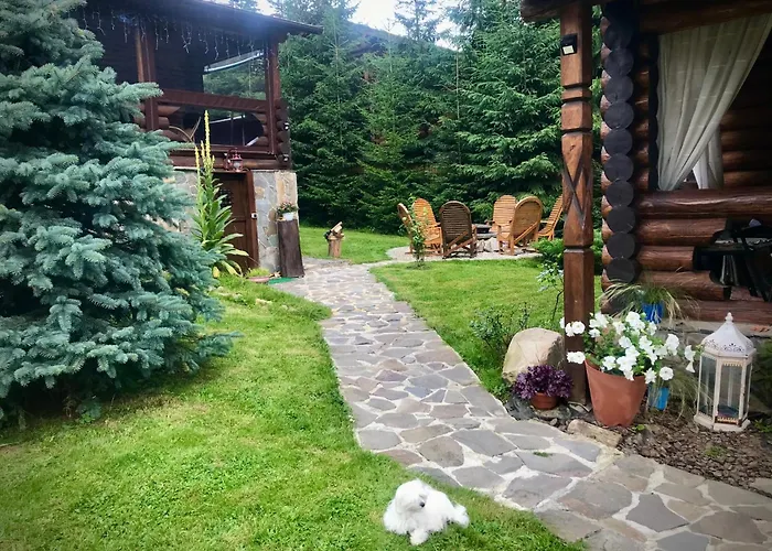 Orman Evi Polyanitsa окремий з каміном
