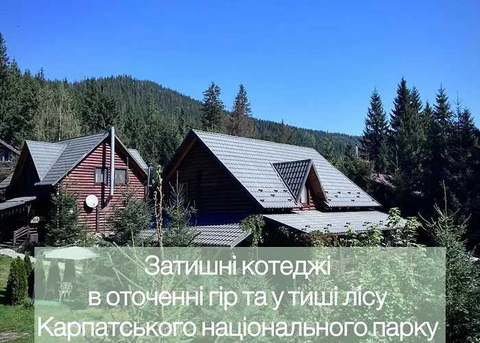 Orman Evi Polyanitsa окремий з каміном