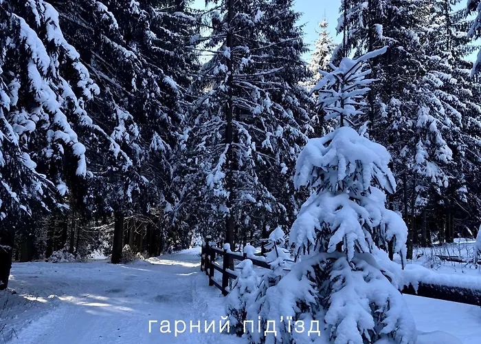 Polyanitsa окремий з каміном Bukovel