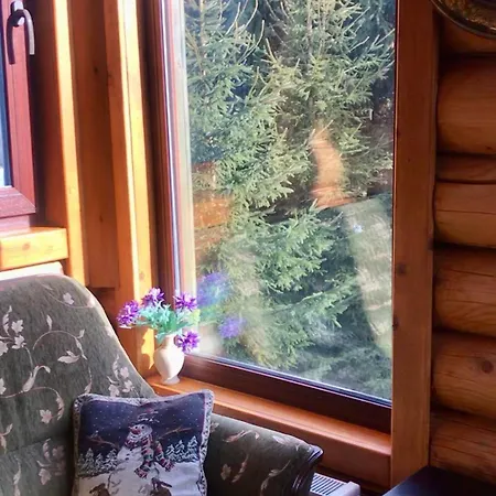 Polyanitsa окремий з каміном