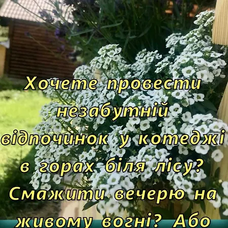 Polyanitsa окремий з каміном