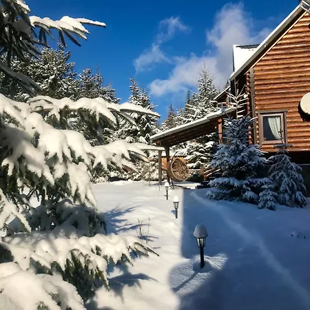 Polyanitsa окремий з каміном *