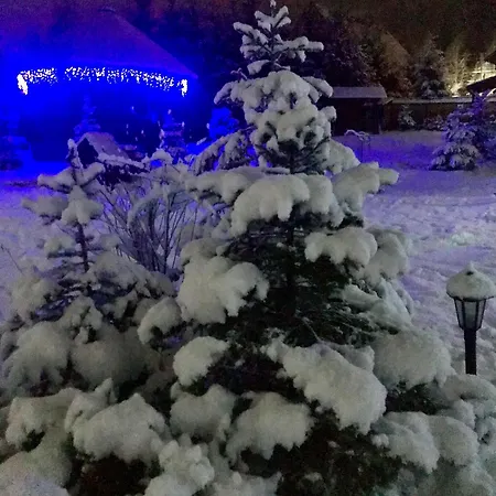 поляница *