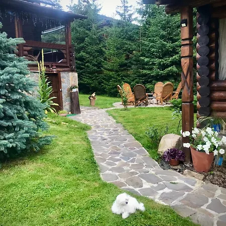 Lodge Polyanitsa окремий з каміном