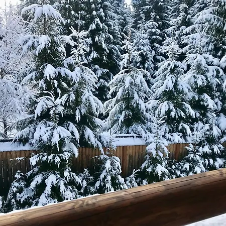 Деревянный коттедж поляница