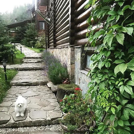 поляница Буковель