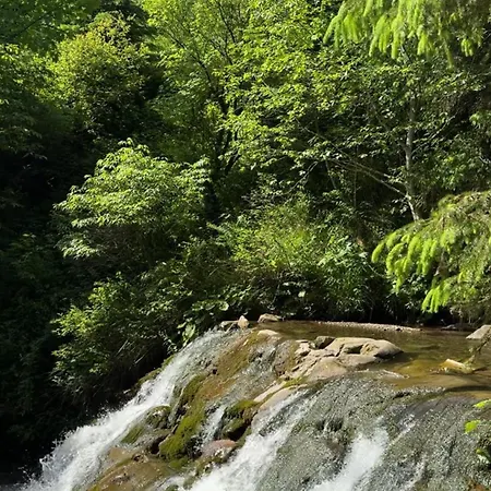 Polyanitsa окремий з каміном *