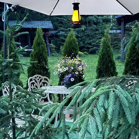 Polyanitsa окремий з каміном Bukowel