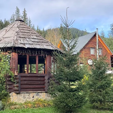 поляница *