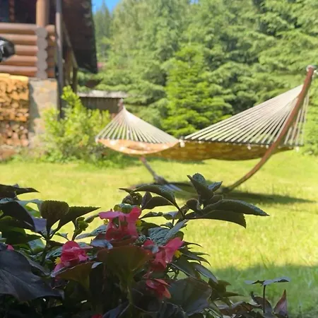 Lodge Polyanitsa окремий з каміном *