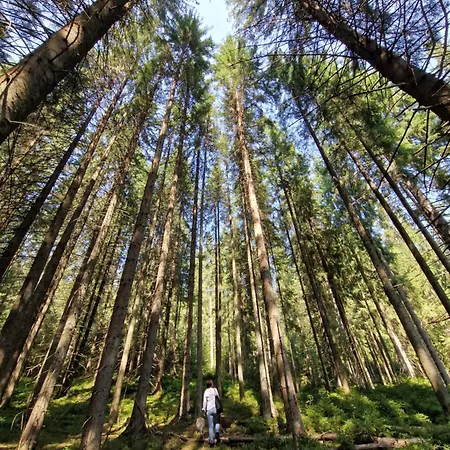 Polyanitsa окремий з каміном Lodge