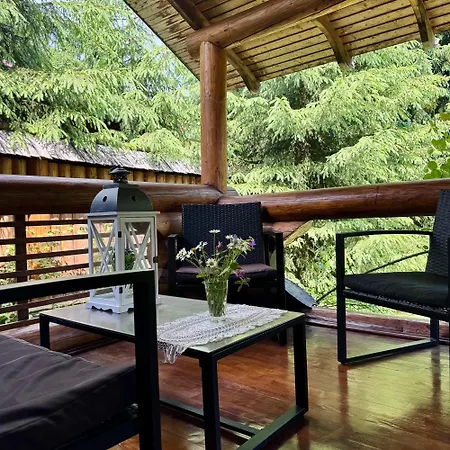 Polyanitsa окремий з каміном Lodge