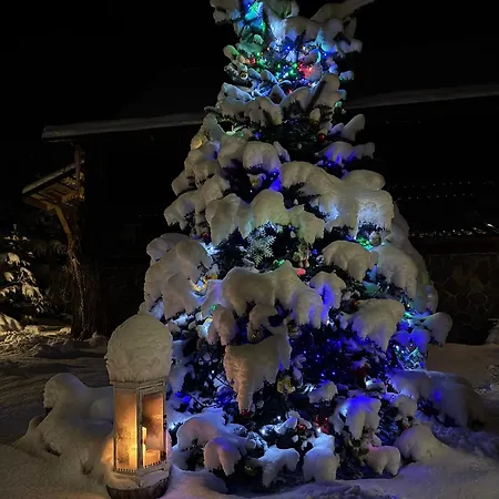 Polyanitsa окремий з каміном Lodge *