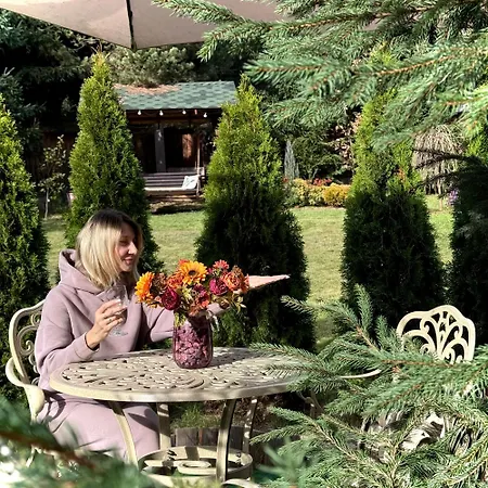 Polyanitsa окремий з каміном Bukowel