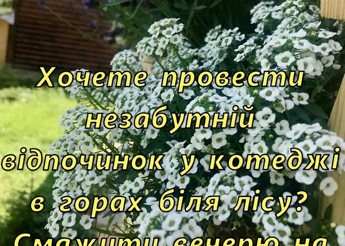Polyanitsa окремий з каміном