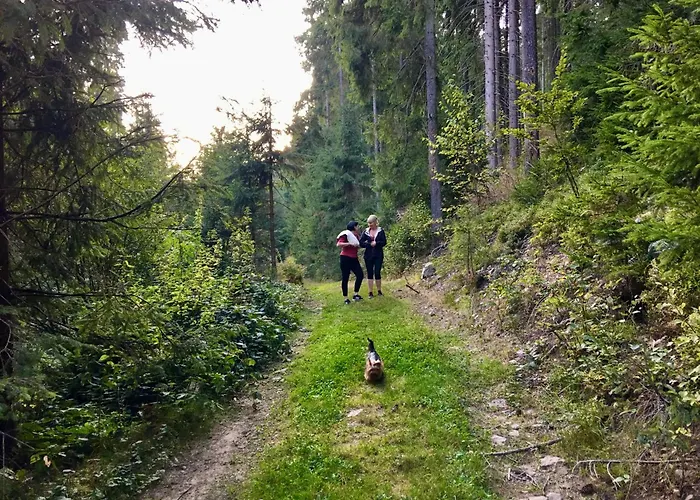 Polyanitsa окремий з каміном ロッジ