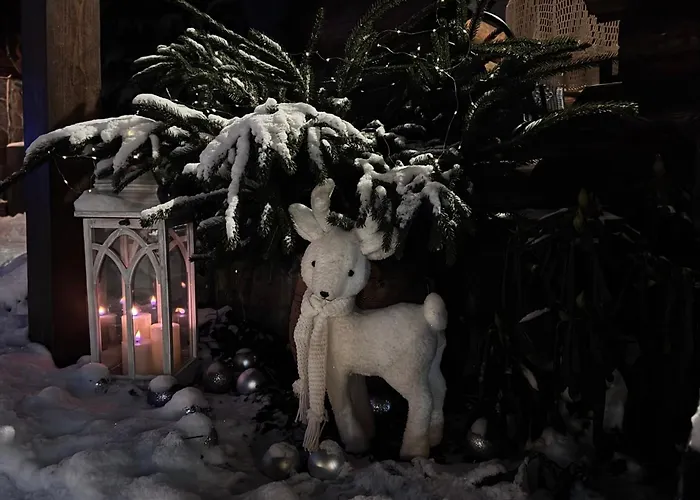 Polyanitsa окремий з каміном ロッジ