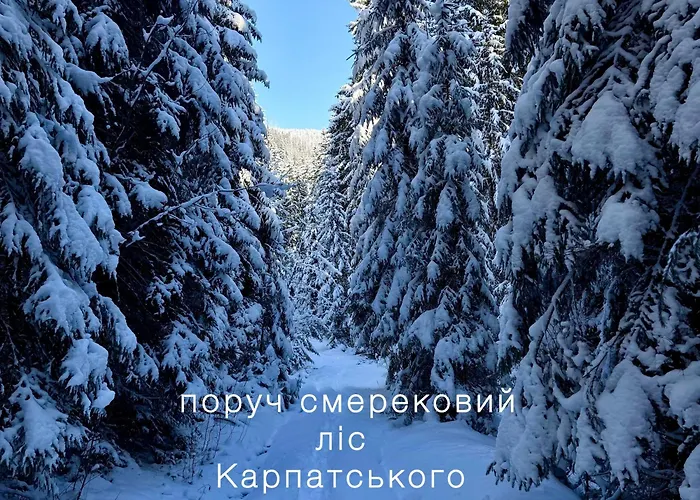Polyanitsa окремий з каміном