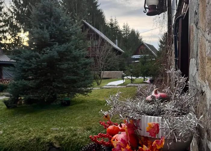 Polyanitsa окремий з каміном ロッジ