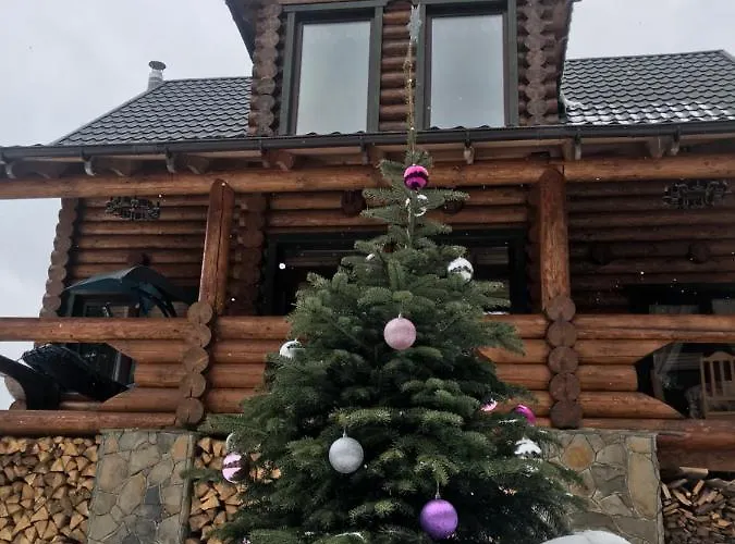 Polyanitsa окремий з каміном ロッジ バコヴェル